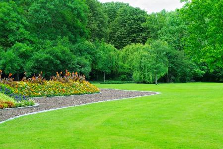 Artificial Grass vs. Natural Grass in Frisco: Which Is Right for Your Yard?