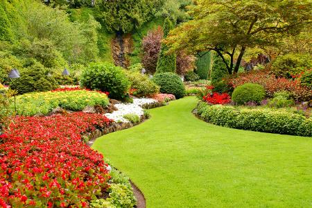 Top 5 Outdoor Upgrades to Boost Home Value in Frisco